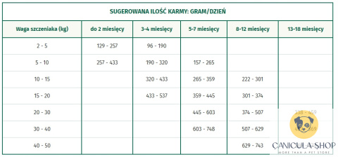 OASY OAP - Puppy &amp; Junior Medium / Large ŁOSOŚ 12kg