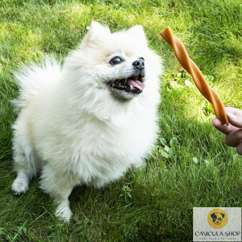 GARDEN BITES - Fruity Dental Swirls "S" 13cm - 1 sztuka