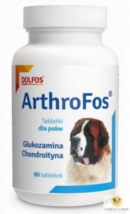 DOLFOS Arthrofos - 90 tabletek