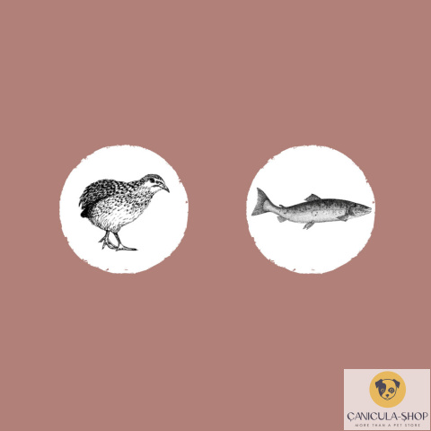 Eden - Salmon & Quail 2kg