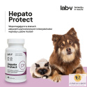 Lab V - Hepato Protect 45 kaps.