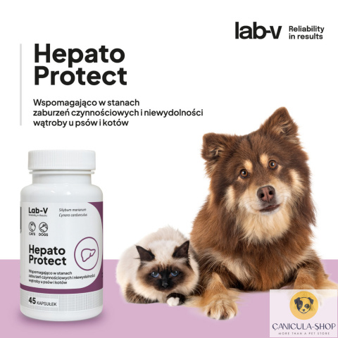 Lab V - Hepato Protect 45 kaps.