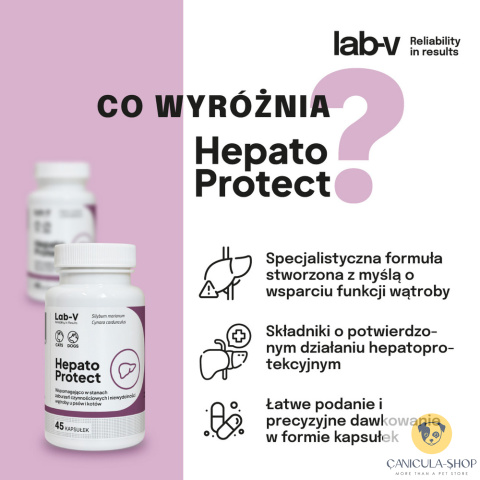 Lab V - Hepato Protect 45 kaps.