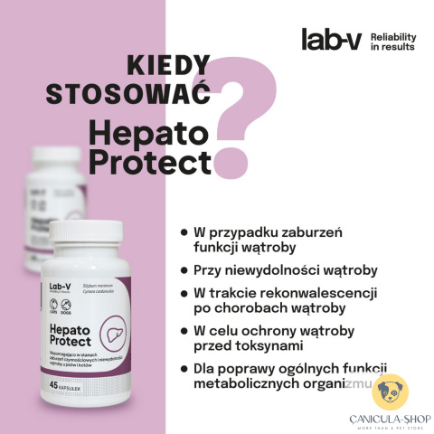 Lab V - Hepato Protect 45 kaps.