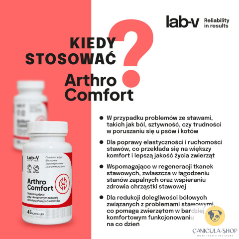 Lab V - Arthro Comfort 45 kaps.