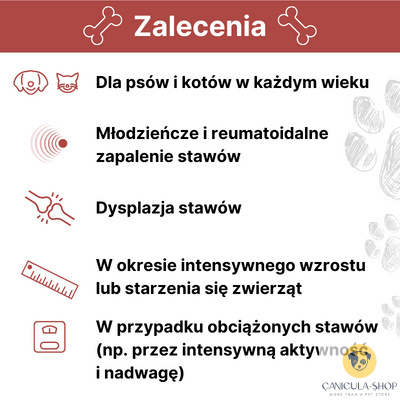 Lab V - Arthrohard 500ml Preparat na wsparcie stawów dla psa i kota