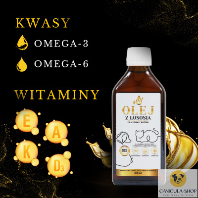 Lab V - Olej z Łososia 100% Dla Psa i Kota 100ml