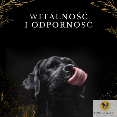 Lab V - Olej z Łososia 100% Dla Psa i Kota 100ml