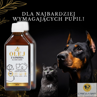 Lab-V Olej z Łososia 100% Dla Psa i Kota 100ml