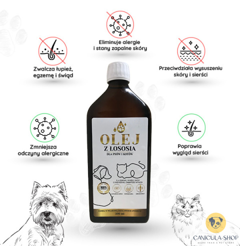 Lab-V Olej z Łososia 100% Dla Psa i Kota 100ml