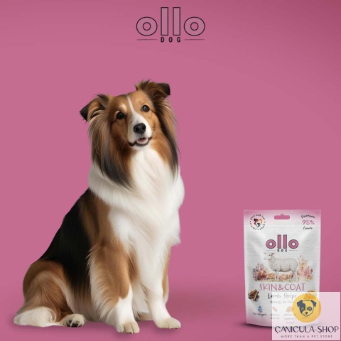 Ollo - Przysmak funkcjonalny dla psa Skin & Coat Lamb Strips 80g