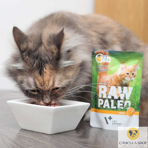 Raw Paleo - Adult Cat Turkey 100g saszetka