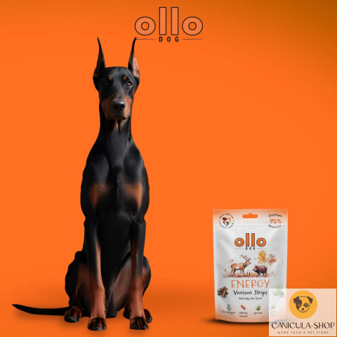 Ollo - Przysmak funkcjonalny dla psa Energy Venision Strips 80g